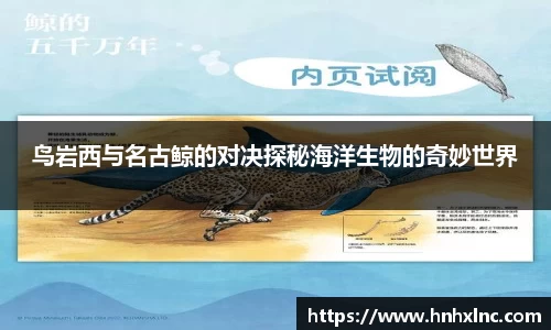 摩根娱乐